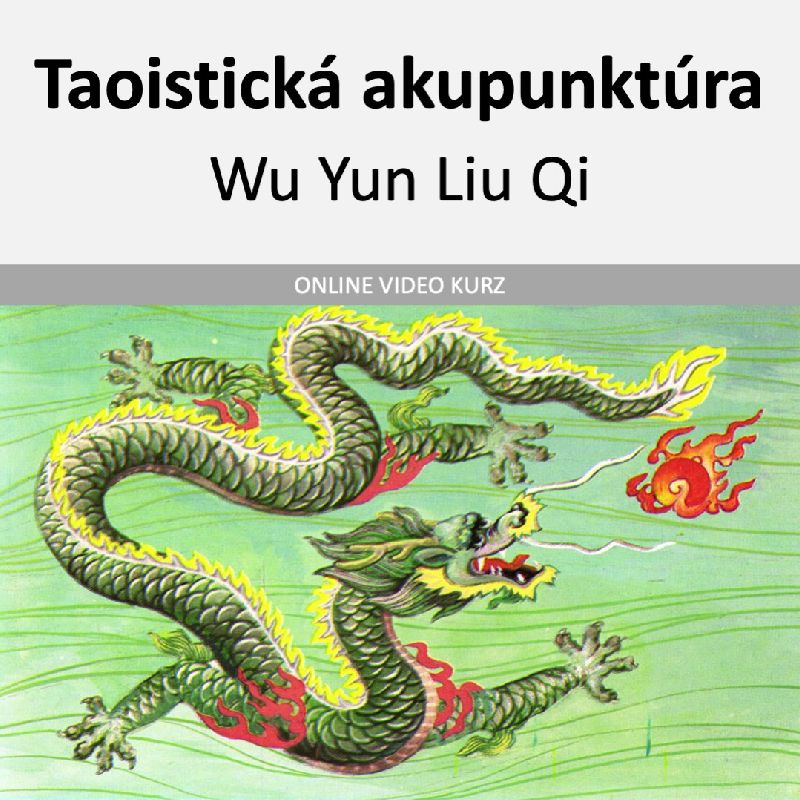 Taoistická akupunktúra Wu Yun Liu QI - online - modul 01 - 04 online