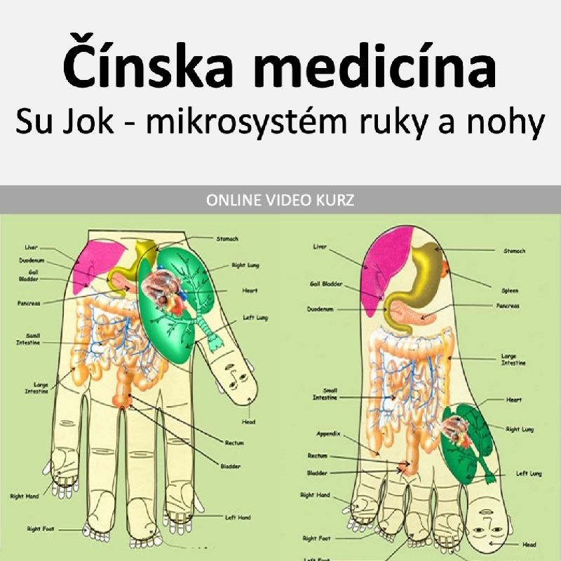 Su Jok - mikrosystém ruky a nohy