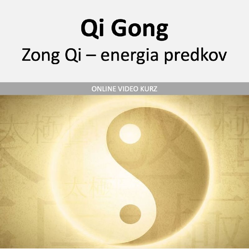 Zong Qi - Energia predkov v praxi qi gongu
